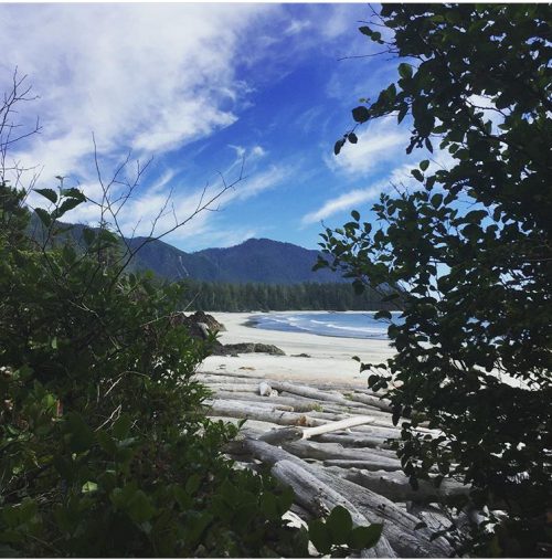 Explore Rugged Point Marine Provincial Park • British Columbia Magazine