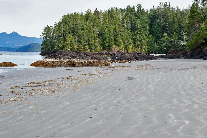 Explore Rugged Point Marine Provincial Park British Columbia Magazine