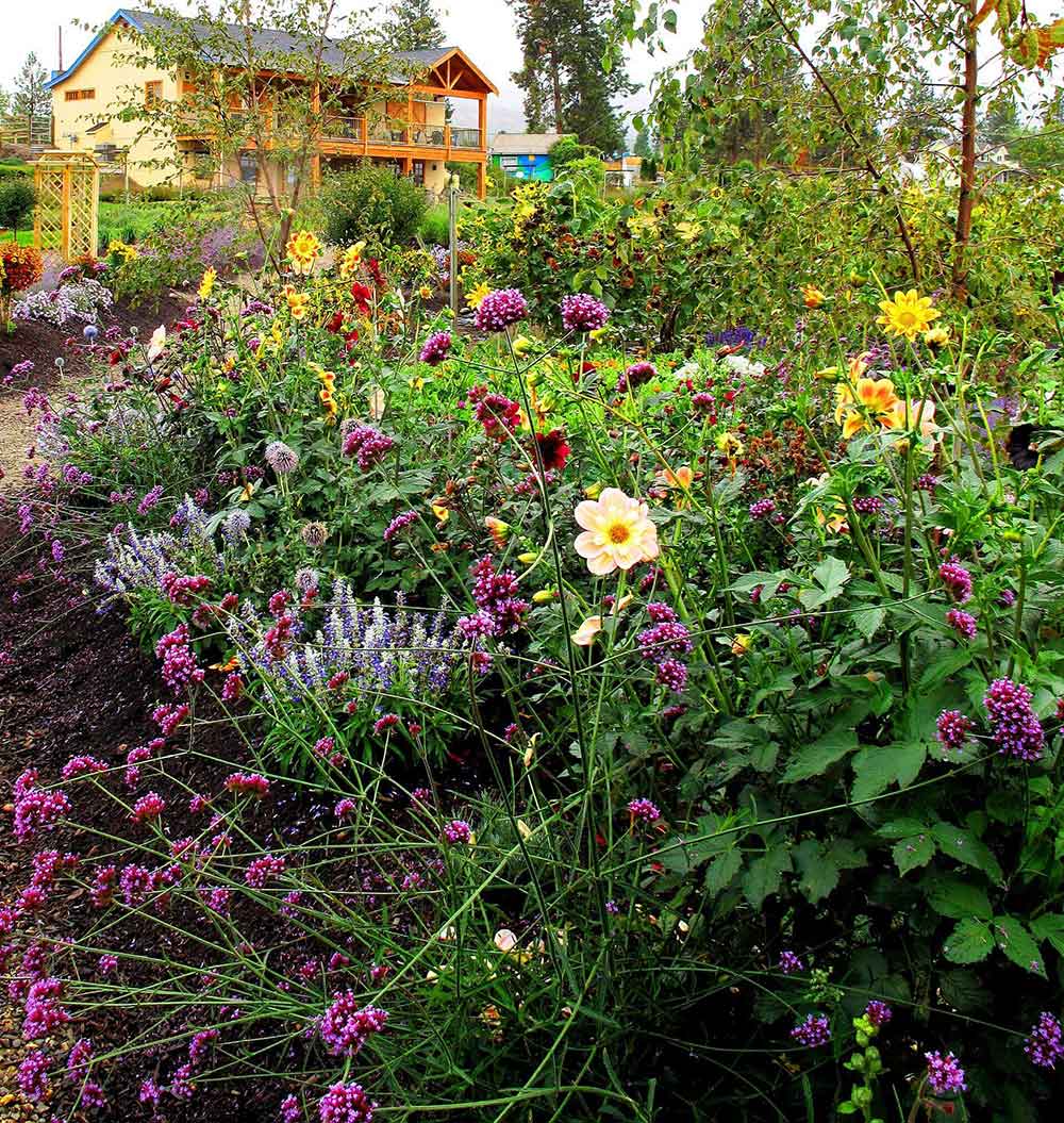 Okanagan Lavender And Herb Farm British Columbia Magazine