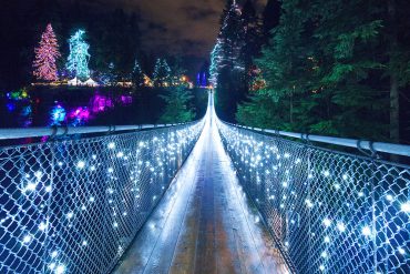 Canyon Lights