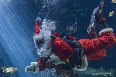 Scuba Santa