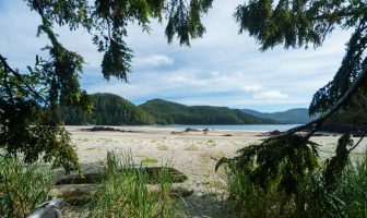 Explore: San Josef Bay & Cape Scott Provincial Park