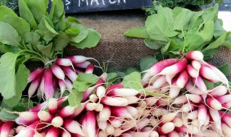 BC’s Mainland Farmers’ Markets 2018
