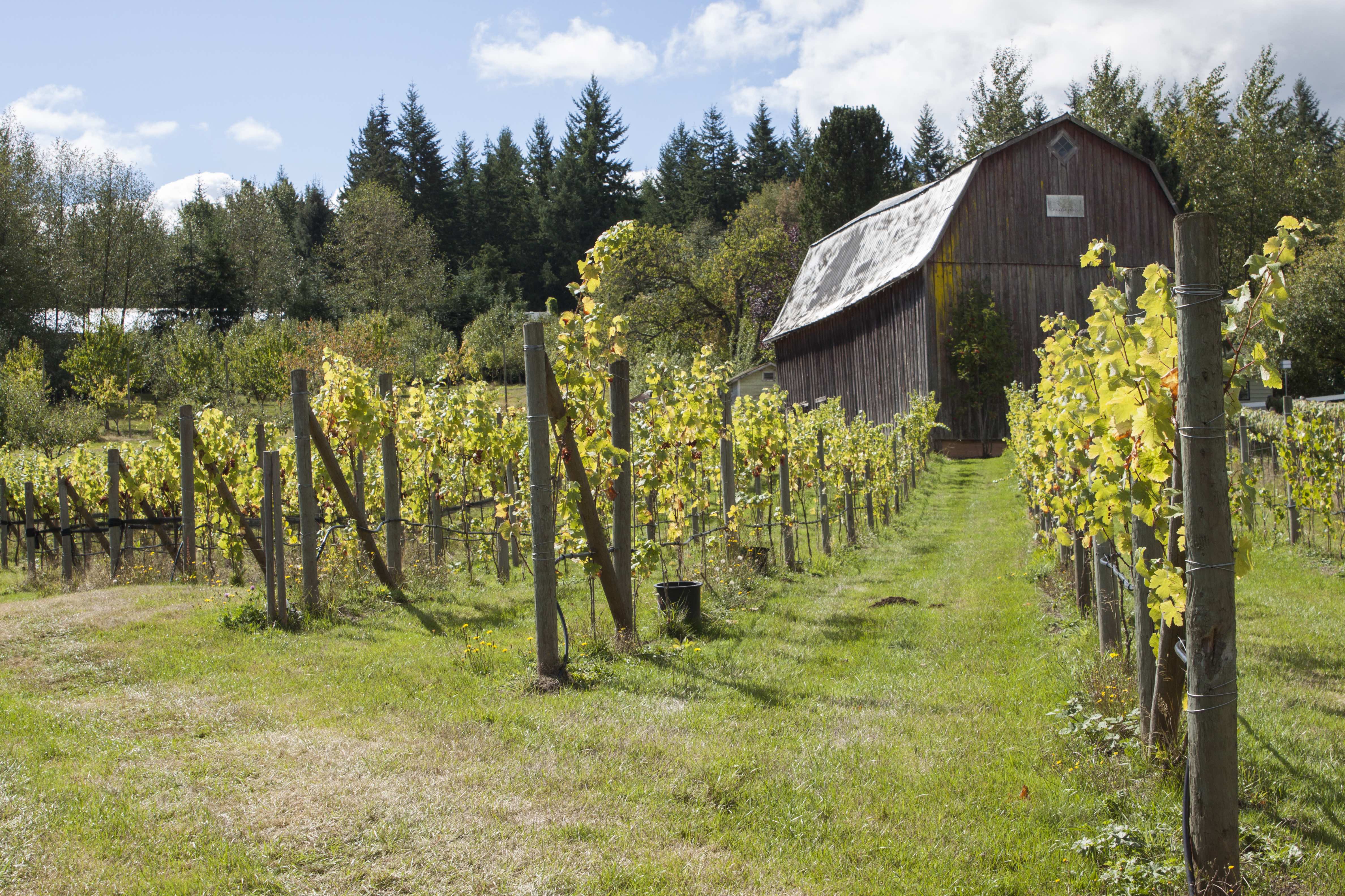 Savouring Langley • British Columbia Magazine