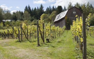 Savouring Langley