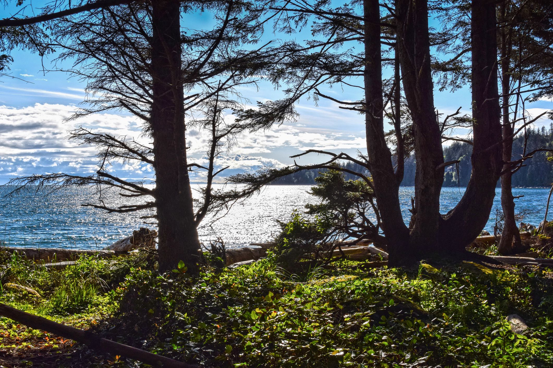 Photo by Dreamstime/Lynda Dobbin Turner