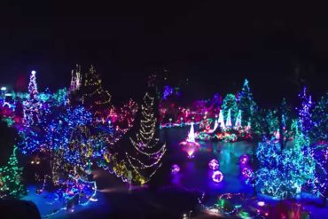 VanDusen Christmas lights.