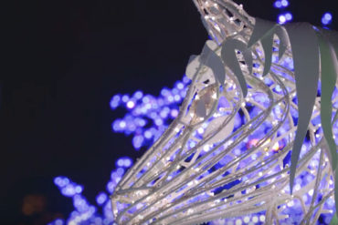 Aurora Winter Festival