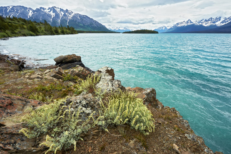 Ts'ylos Provincial Park And Chilko Lake • British Columbia Magazine
