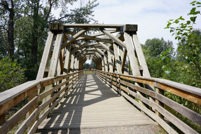 Cottonwood Island Nature Park • British Columbia Magazine
