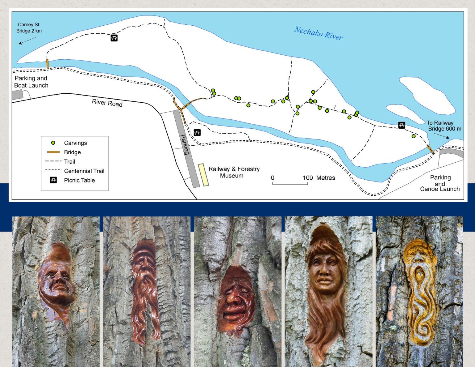 Cottonwood Island Nature Park • British Columbia Magazine