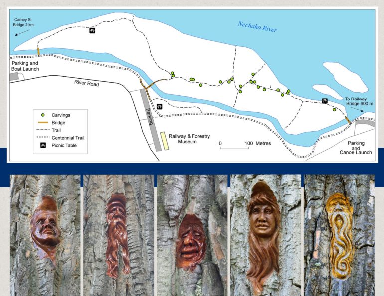 Cottonwood Island Nature Park • British Columbia Magazine