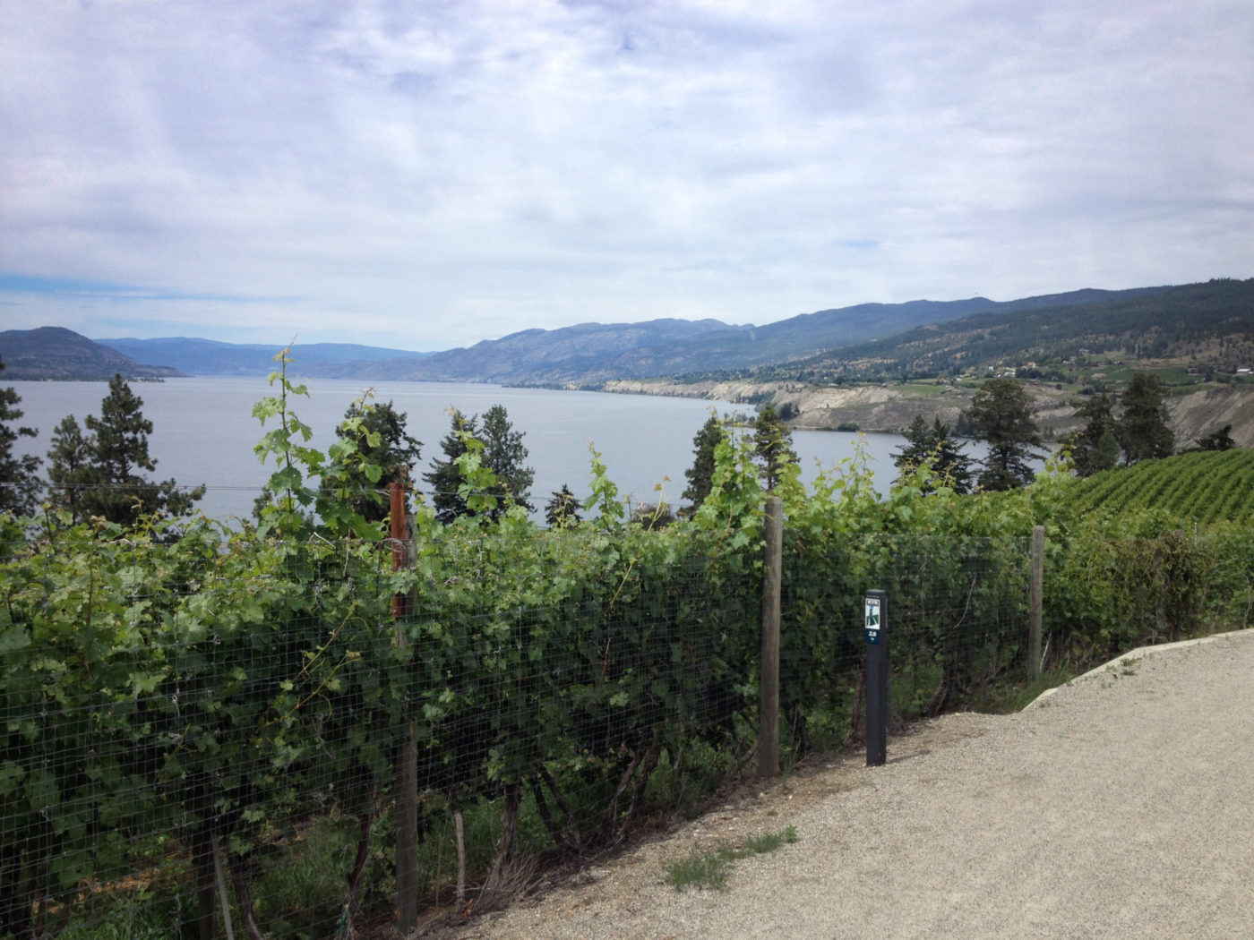 The Kettle Valley Rail Trail • British Columbia Magazine