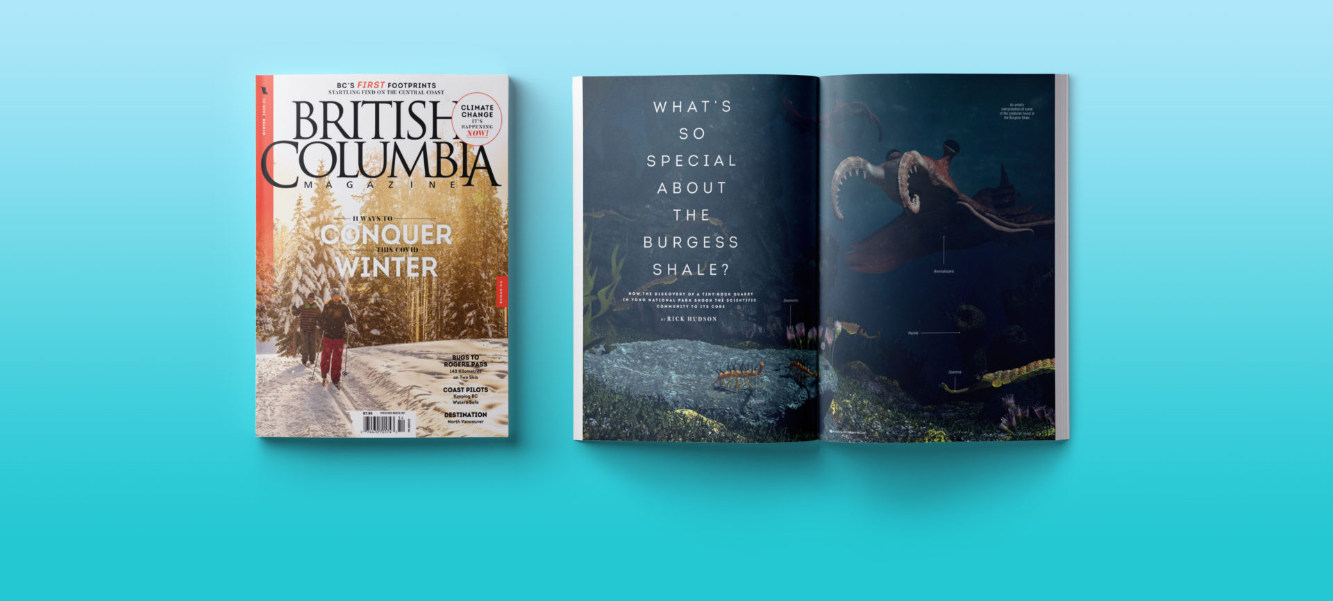 BC Magazine Winter 2020 issue