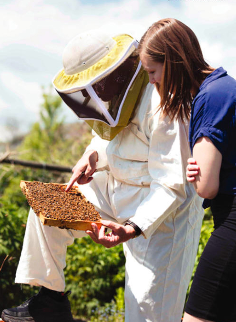 The Okanagan's honey bee colonies can produce up to 90 kilograms of honey in just a few months.