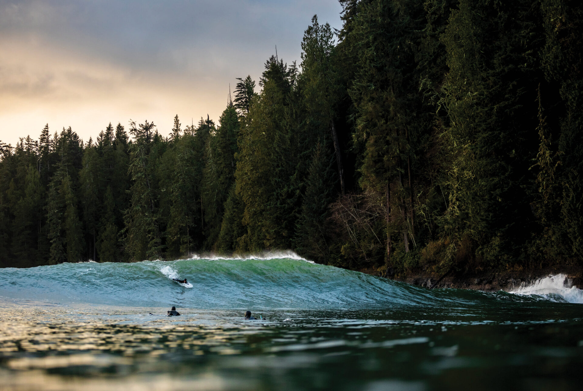 Cold Water Culture. Photo by Marcus Paladino.