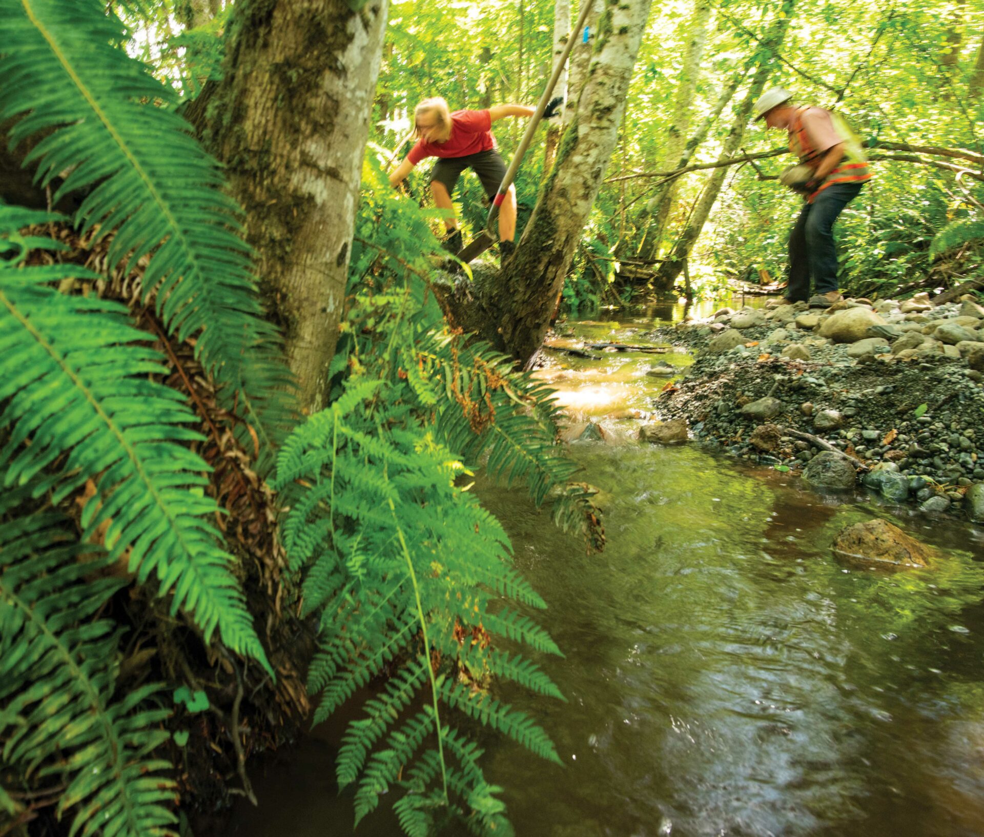 Jack Bindernagel and Jim Palmer plant trees alongside Arden Creek, a small tributary that flows through Courtenay before it meets Morrison Creek on the grounds of Ecole Puntledge Park Elementary. Photo by Steve Ogle.