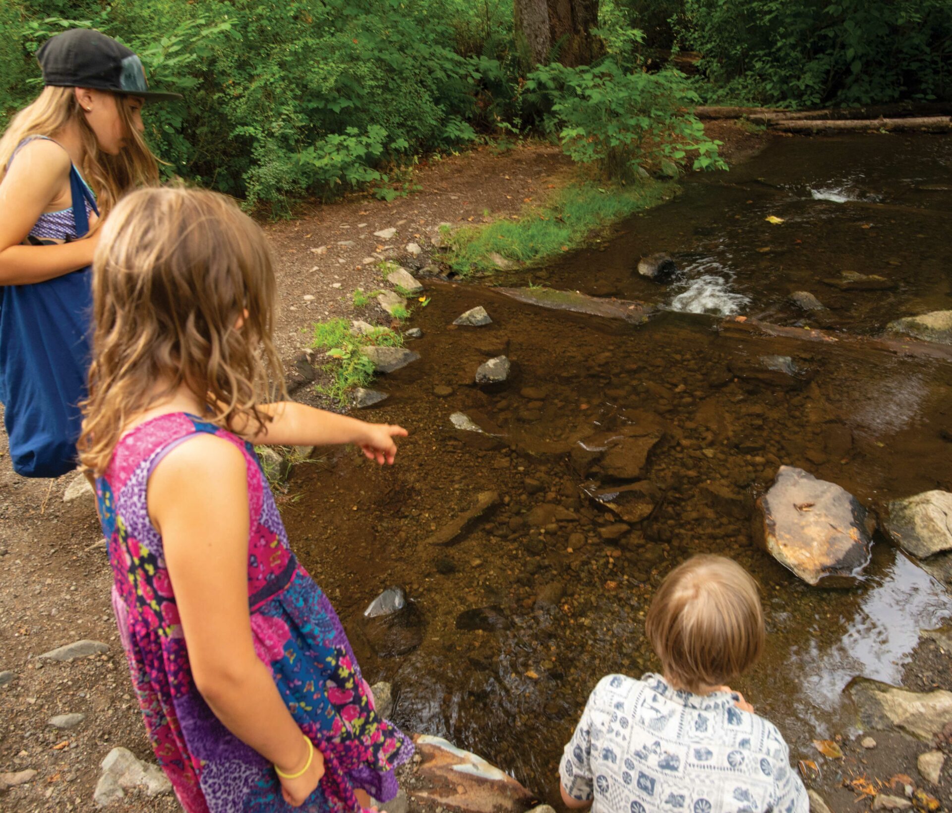 Local kids at Morrison Creek in Puntledge Park, Courtenay. Photo by Steve Ogle.