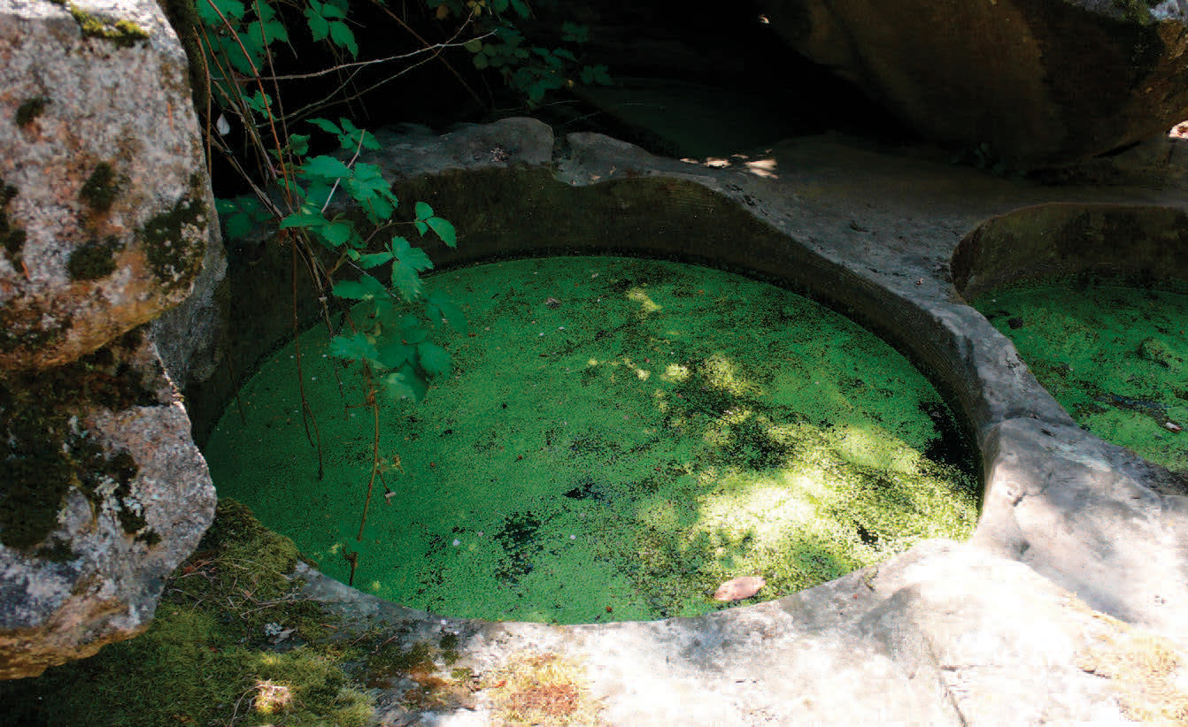 The pulp stone quarry. 