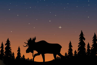 Credit: Mark Rasmussen/Dreamstime.