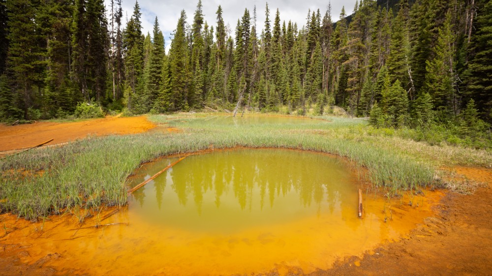 Paint Pots, Kootenay National Park. Photo by Andreas Prott/Dreamstime.