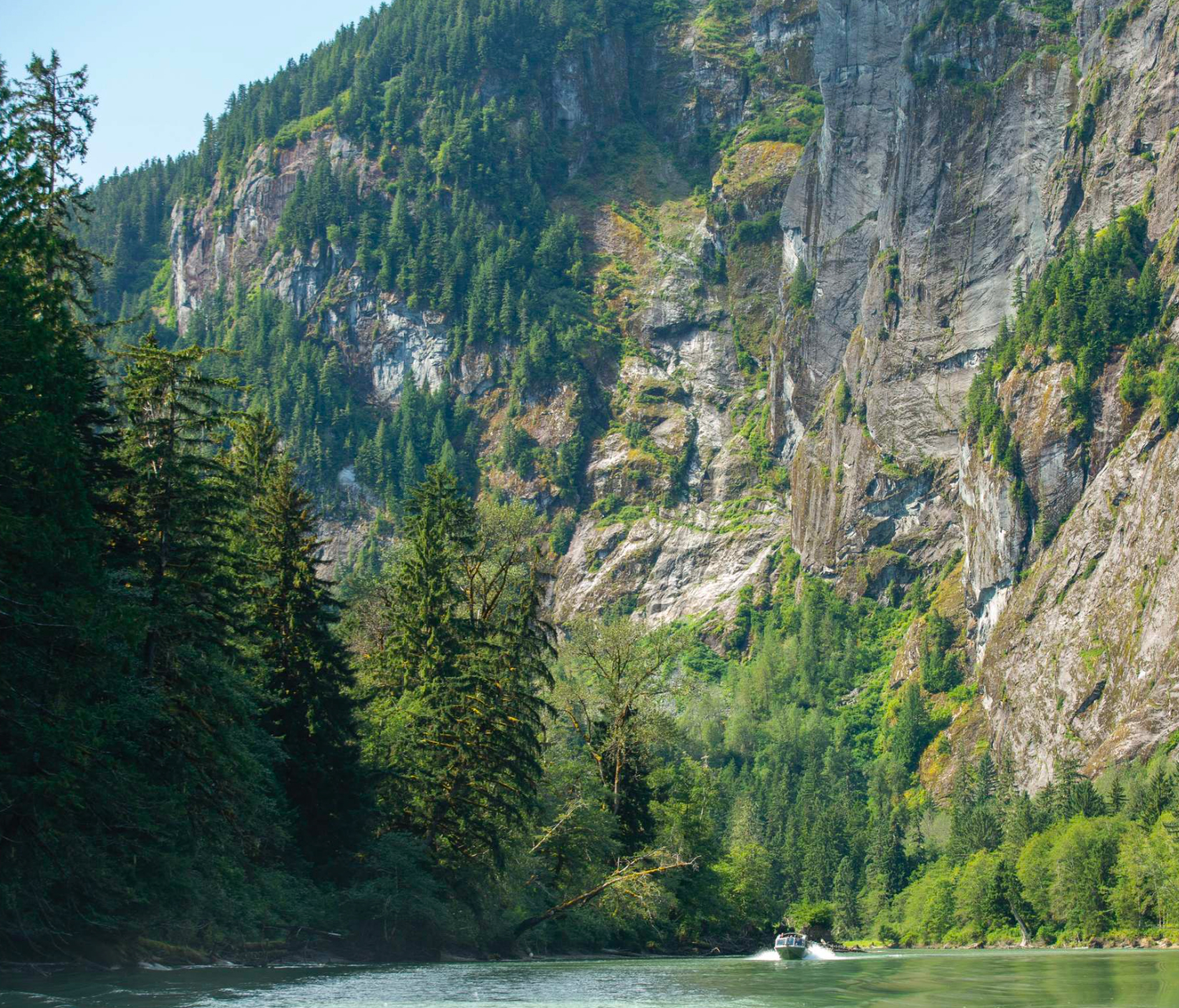 Salmon are present here in large numbers, often jumping playfully at the surface like dolphins. “This whole valley was supposed to be logged. Thankfully though, there was a small group of people who fought to have it protected.” Photo by Aaron Whitfield. 