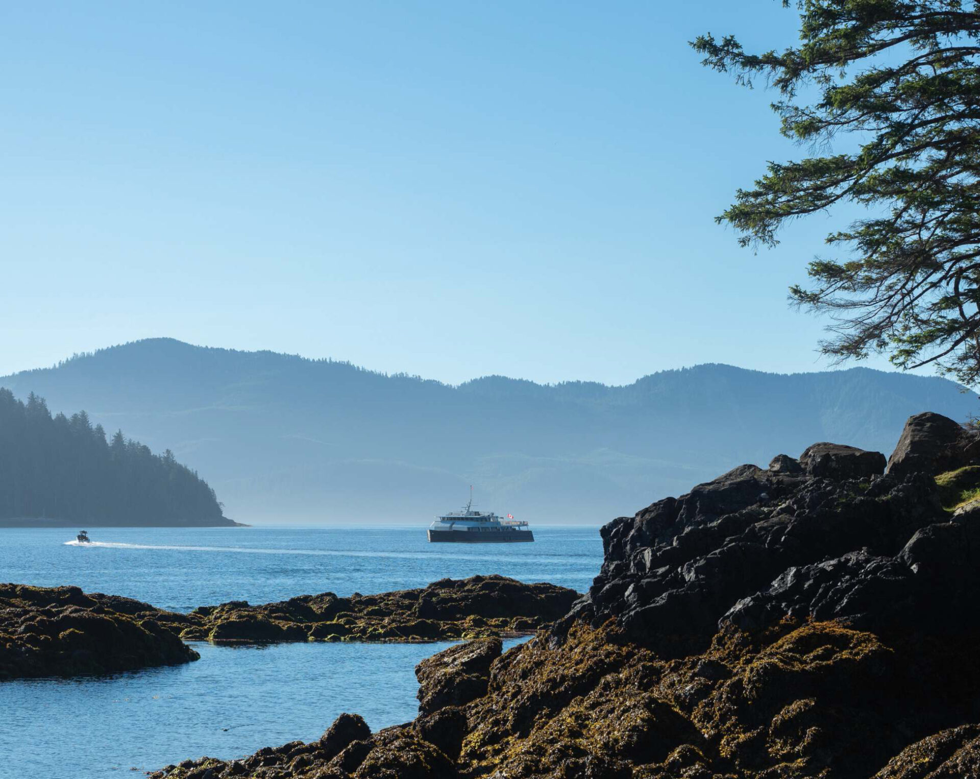 Cascadia in Gwaii Haanas National Park Reserve. Photo By Diane Selkirk.