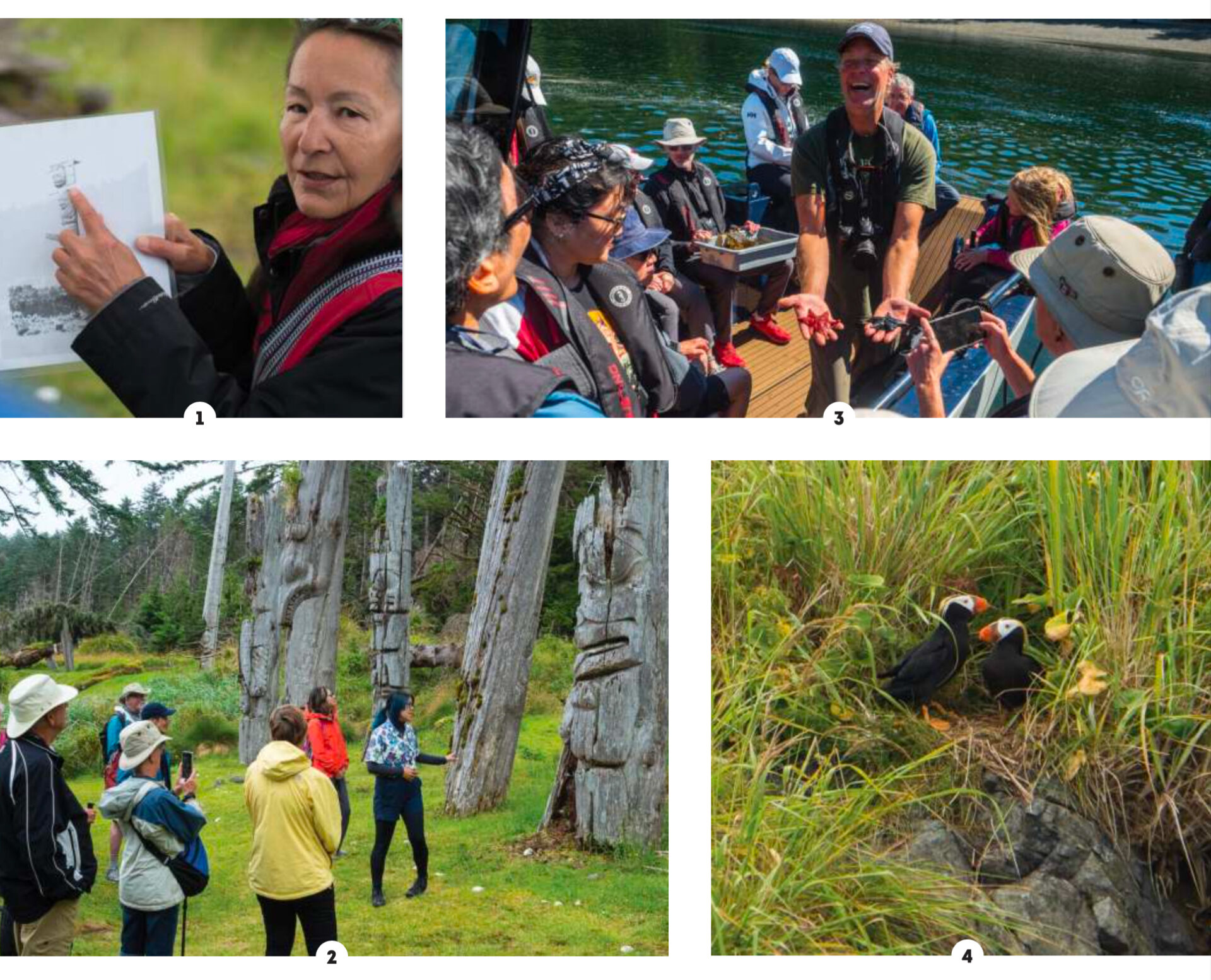 1-2. Watchman Deedee teaches visitors at K’uuna. 3. Greg Shea was the expedition leader aboard Cascadia. 4. Tufted and horned puffins. Photos By Diane Selkirk.