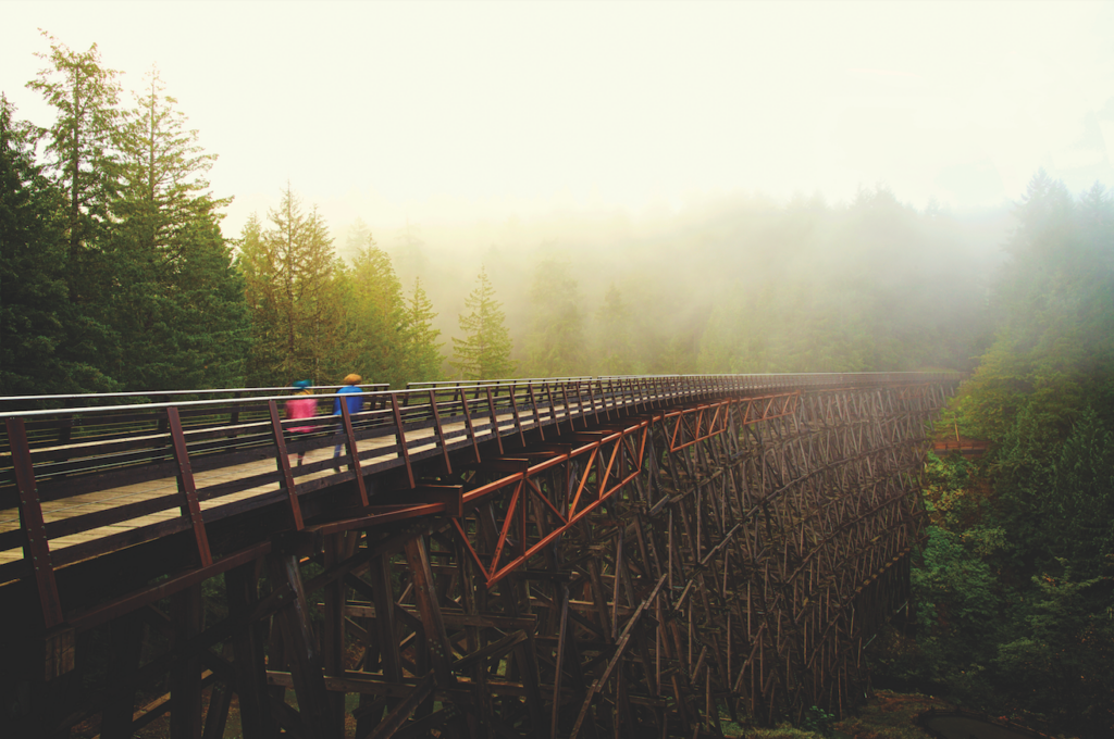 Photo of bridge in the forest