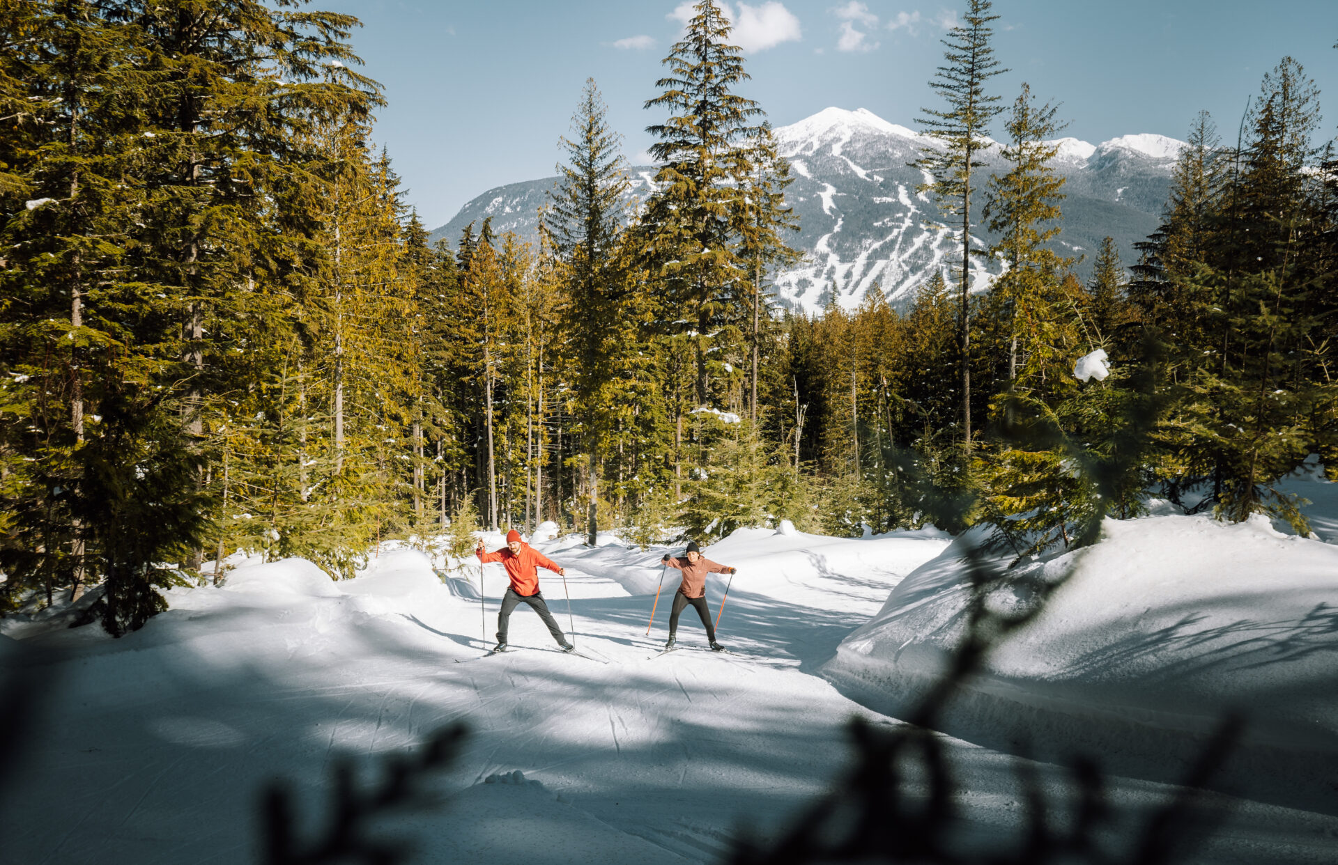 Nordic Skiing At Revelstoke • British Columbia Magazine